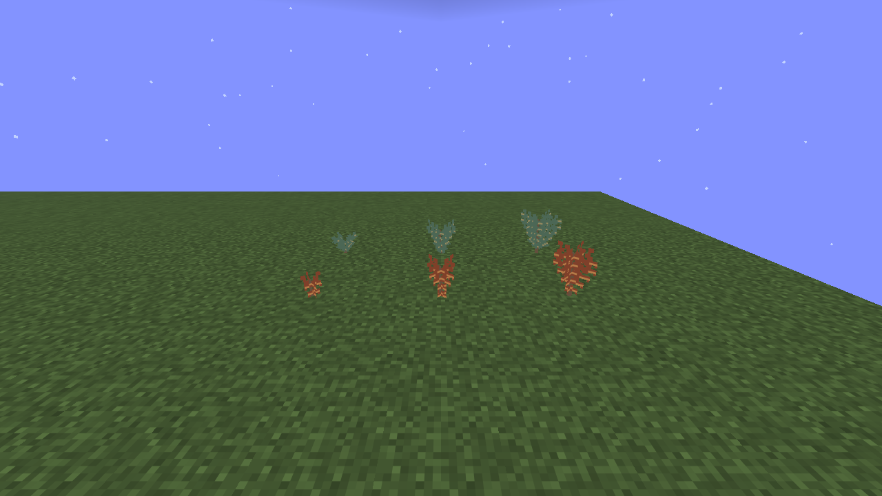 The six fern stages, young to mature, cooled and hot
