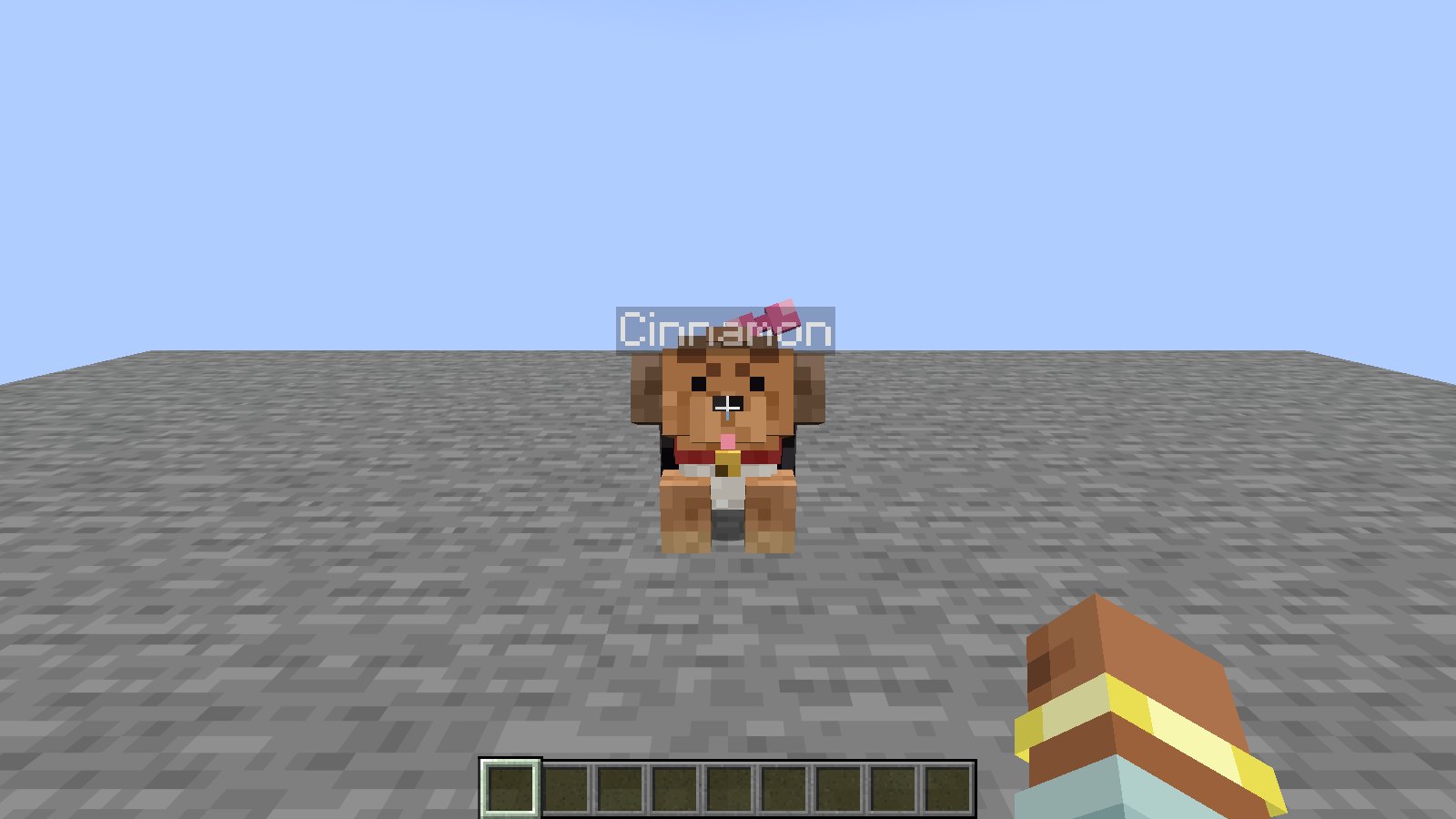 Cinnamon in her pink bow, with the tip of her tongue out and her bell on her collar.