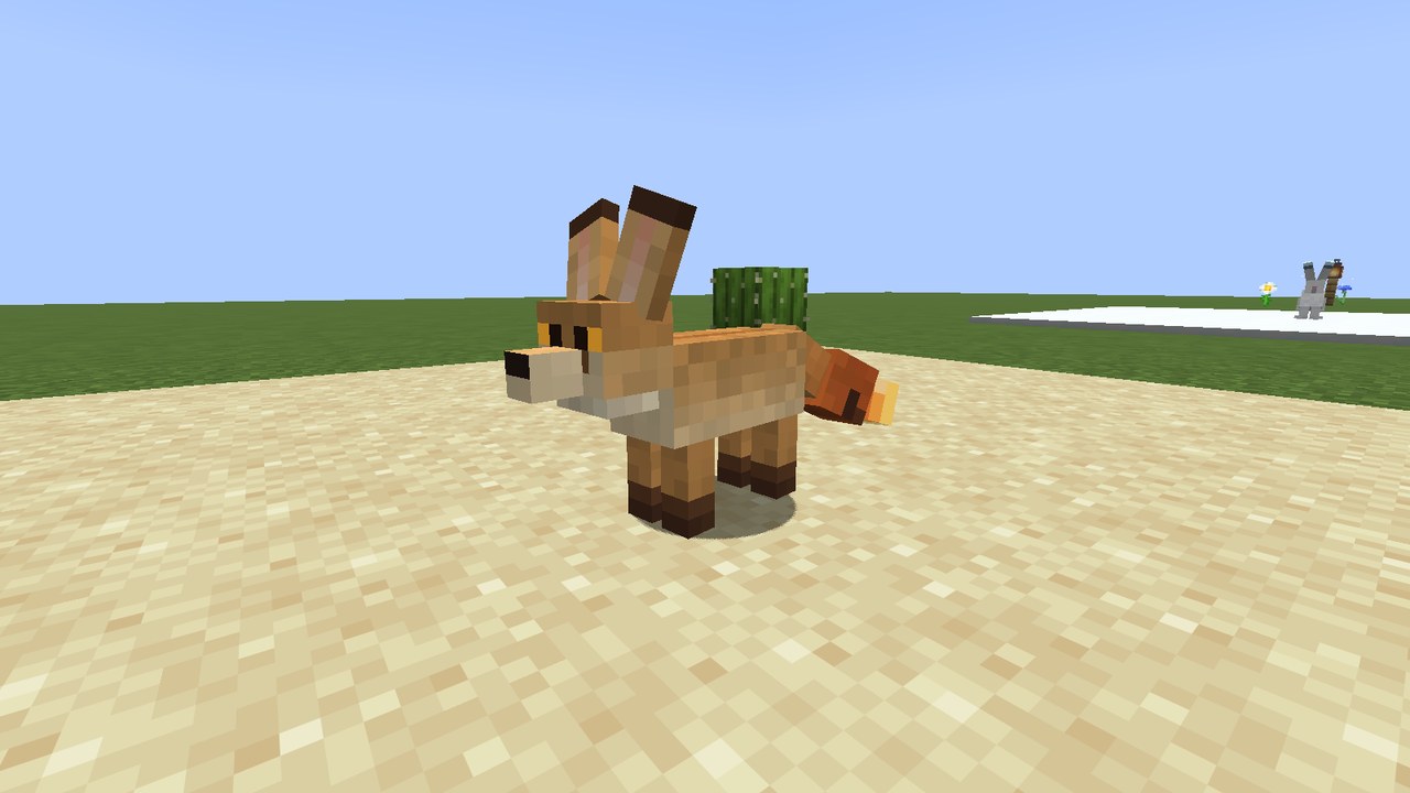 A slim sandy fox with very tall ears, amber eyes and a tail ending in a glowing orange ember, standing on sand