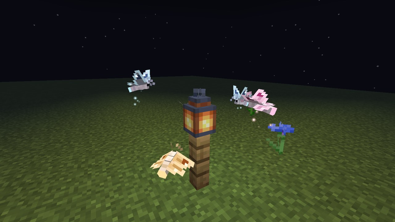 Glimmerwings, pale blue, pink and amber, fluttering round a lantern on a fence post at night